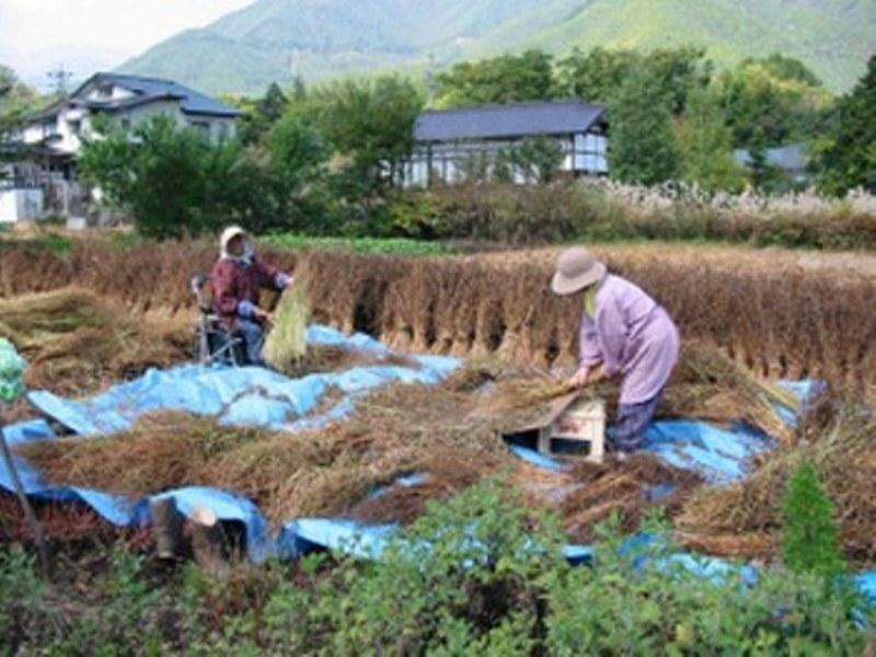 Village Inn Seizanso Matsumoto Ngoại thất bức ảnh